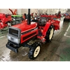 YANMAR  F20D