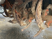 KUBOTA トラクター B7000D