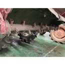 MITSUBISHI トラクター MT24D