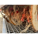 YANMAR トラクター F215D