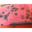 MITSUBISHI トラクター MT241D