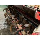 SHIBAURA トラクター D228D