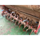 MITSUBISHI トラクター MT23