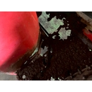 YANMAR トラクター RS24D