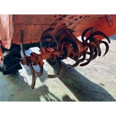 KUBOTA トラクター B5001