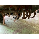 ISEKI トラクター TX1210F