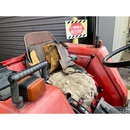 YANMAR トラクター FX24D