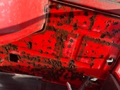 YANMAR トラクター F20D