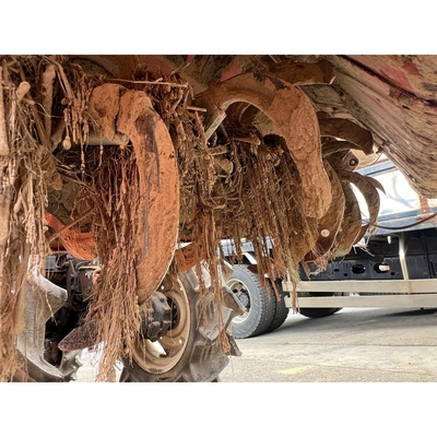 YANMAR トラクター F155D